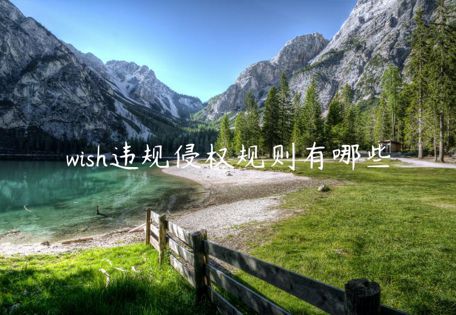 wish違規(guī)侵權(quán)規(guī)則有哪些